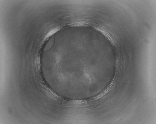 X0000116571402200912101501