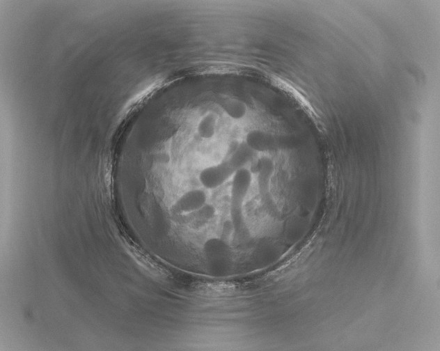 X0000116571403200912101501