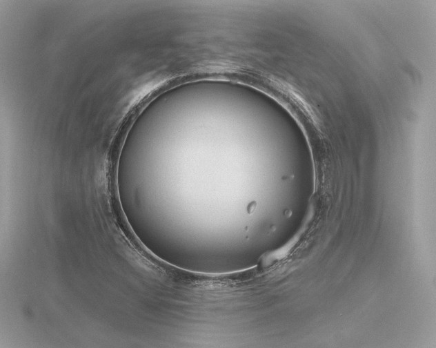 X0000116571404200912101501