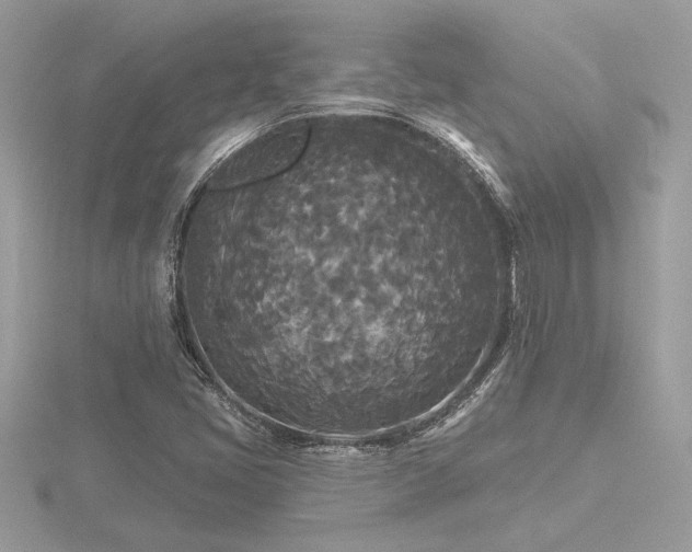 X0000116571405200912101501