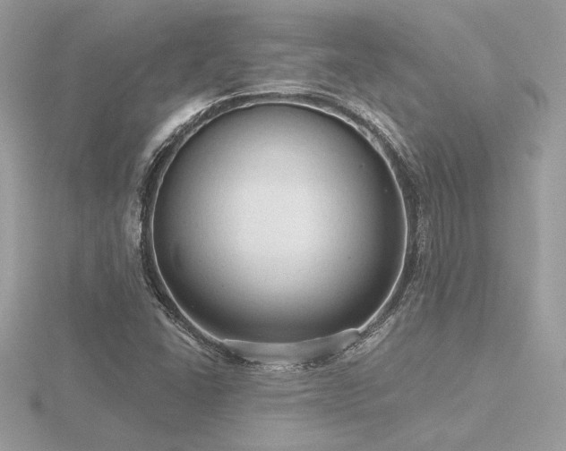 X0000116571406200912101501