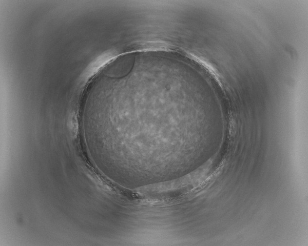 X0000116571407200912101501