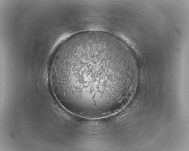 X0000116571408200912101501