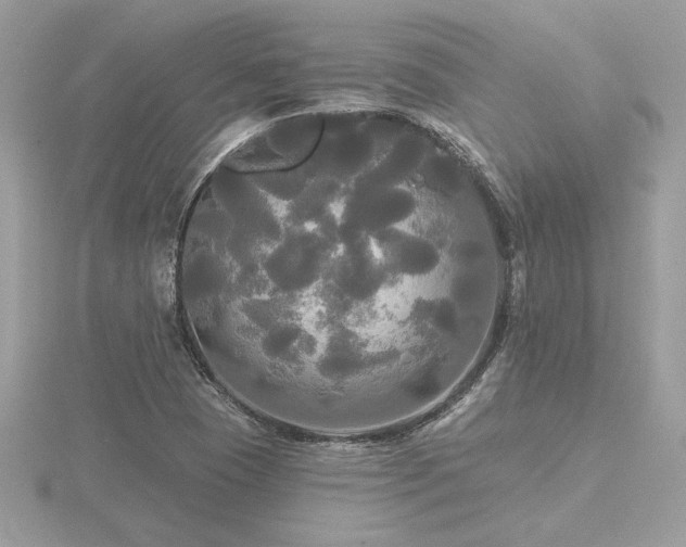 X0000116571409200912101501