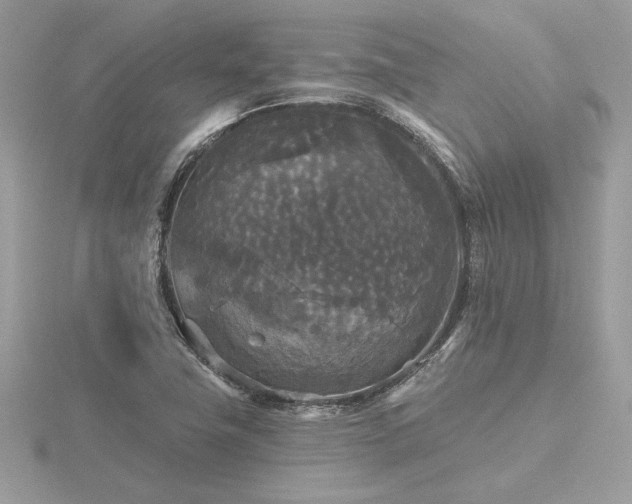 X0000116571411200912101501