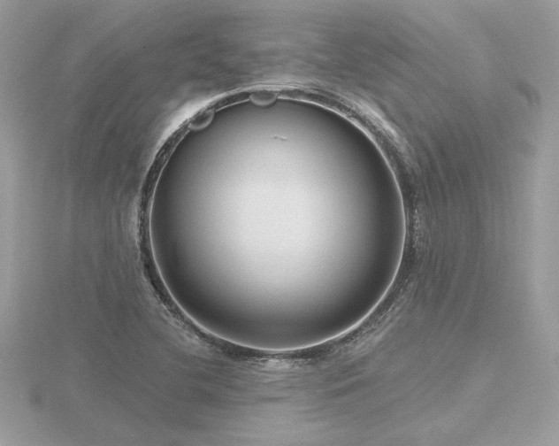 X0000116571412200912101501