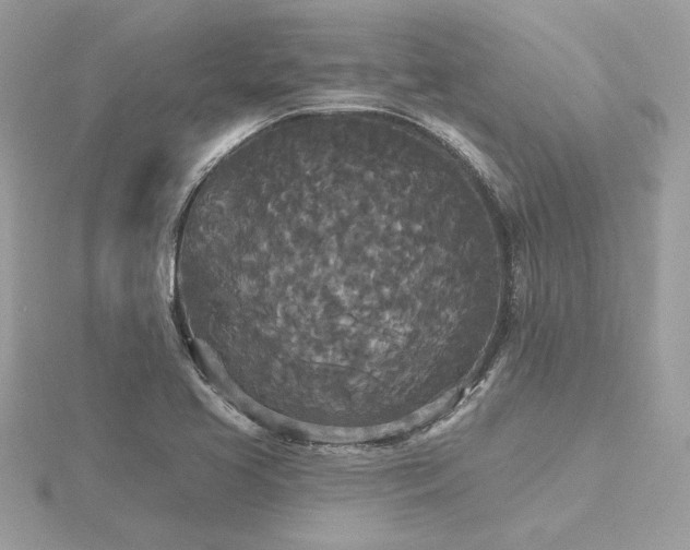 X0000116571413200912101501