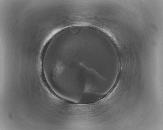 X0000116571414200912101501