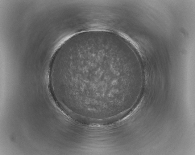 X0000116571415200912101501