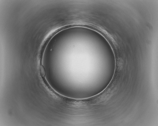 X0000116571416200912101501