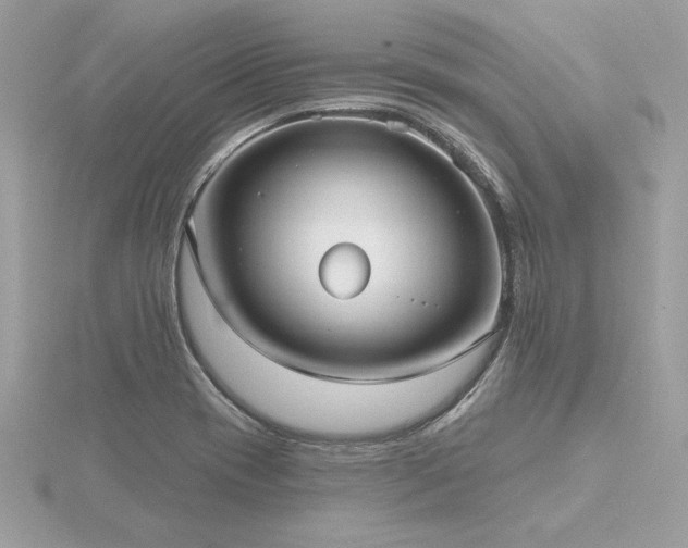 X0000116571417200912101501