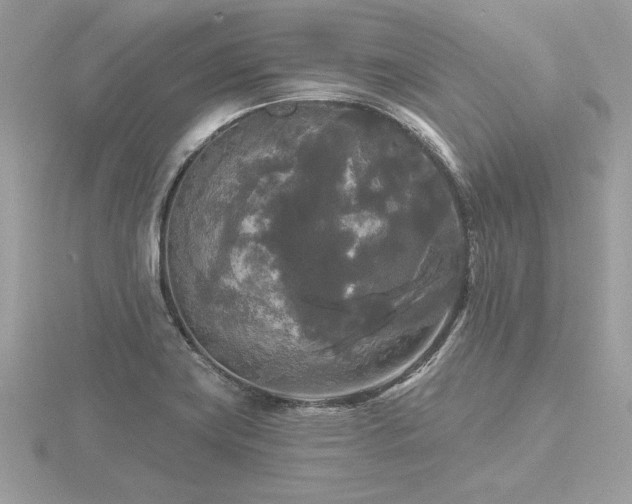 X0000116571419200912101501