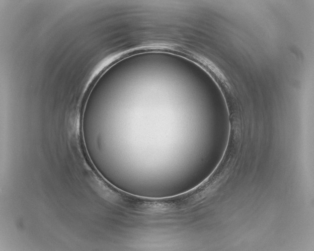 X0000116571420200912101501