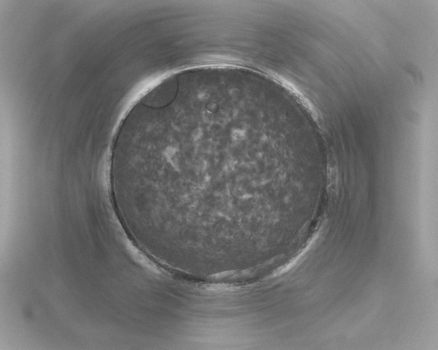 X0000116571421200912101501