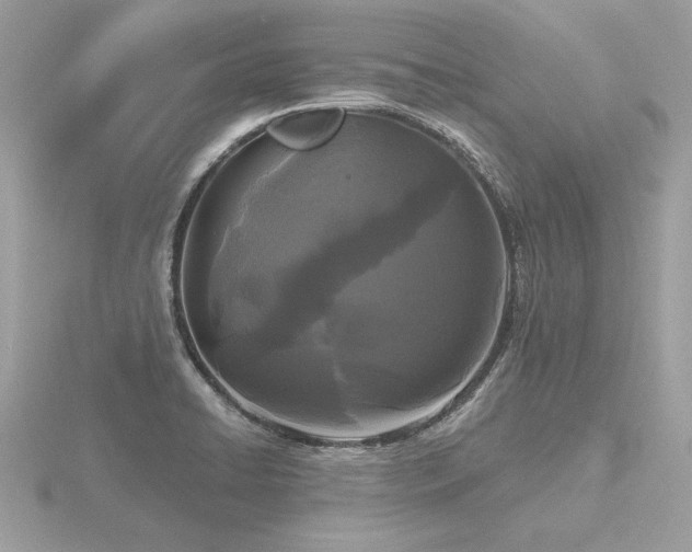 X0000116571422200912101501