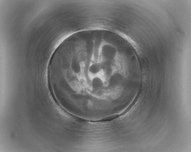 X0000116571423200912101501