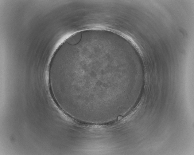 X0000116571424200912101501