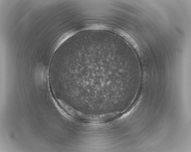 X0000116571425200912101501