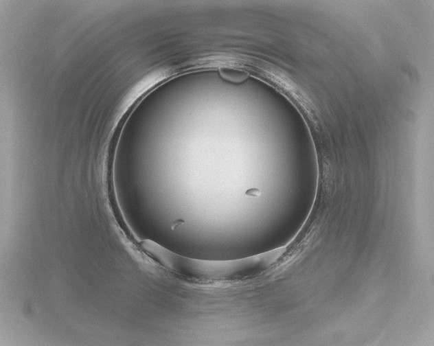 X0000116571426200912101501