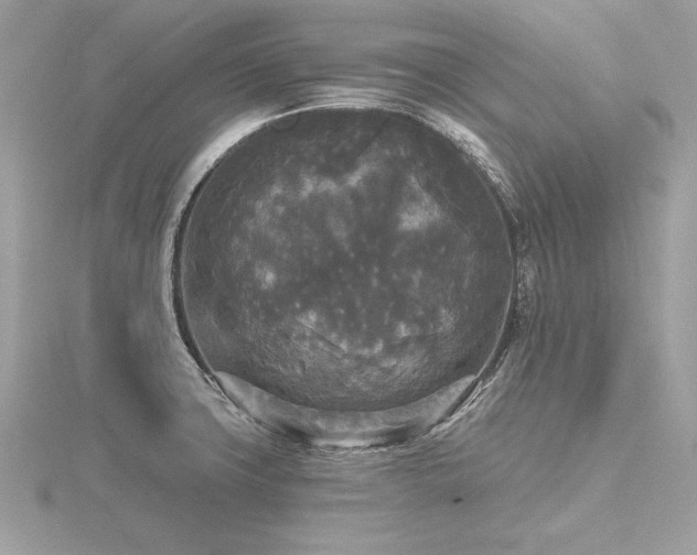 X0000116571427200912101501