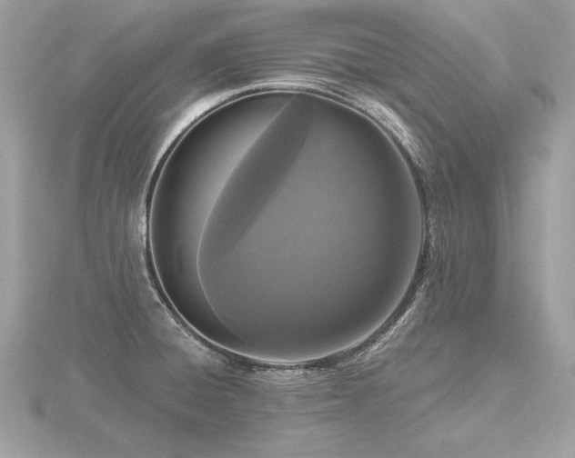 X0000116571428200912101501