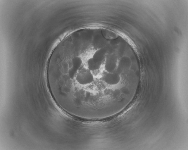 X0000116571429200912101501