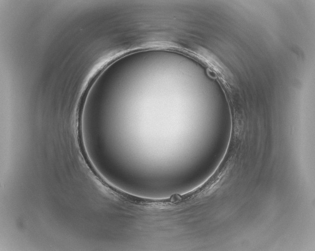 X0000116571430200912101501