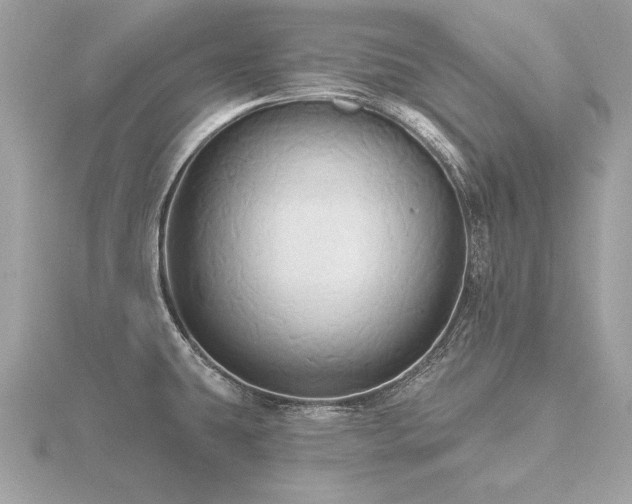 X0000116571431200912101501