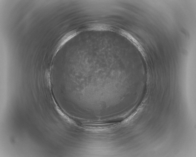 X0000116571433200912101501