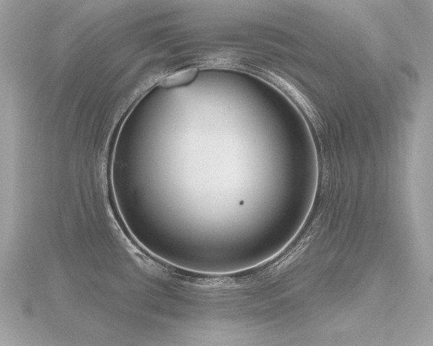 X0000116571434200912101501