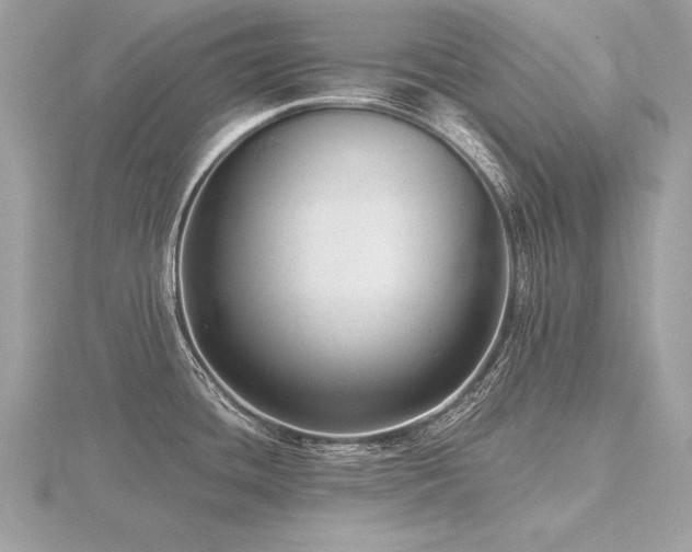 X0000116571436200912101501