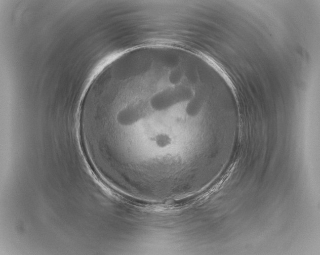 X0000116571437200912101501