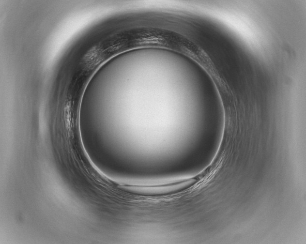 X0000116571438200912101501