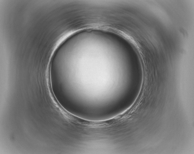 X0000116571440200912101501