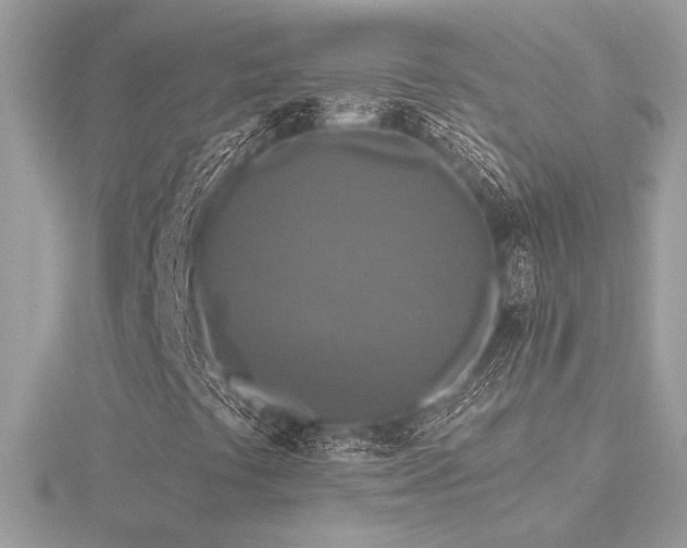 X0000116571441200912101501