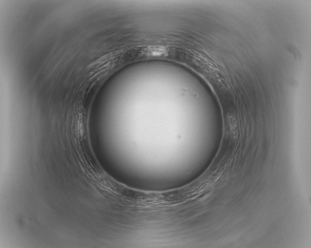 X0000116571442200912101501