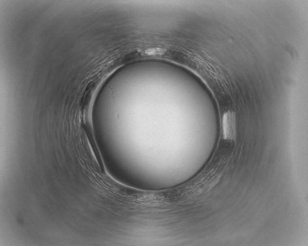 X0000116571443200912101501