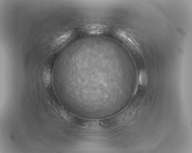 X0000116571444200912101501