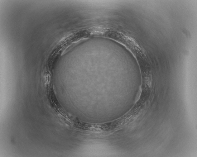 X0000116571445200912101501