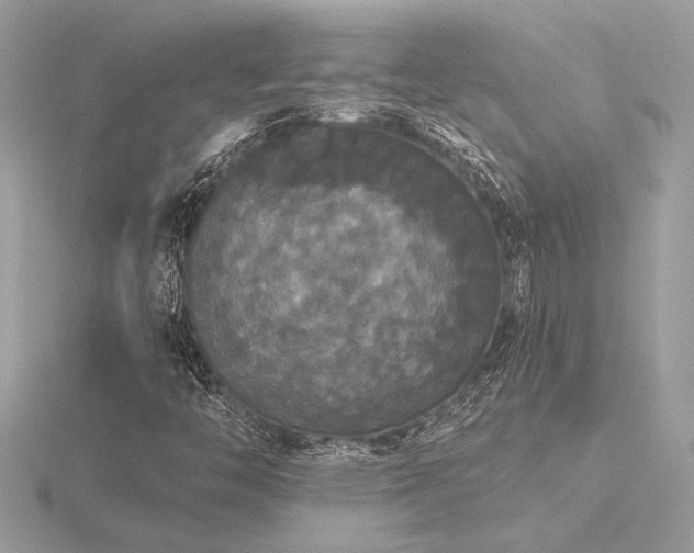 X0000116571446200912101501