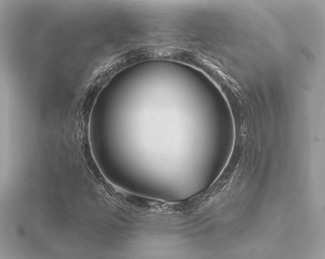 X0000116571447200912101501