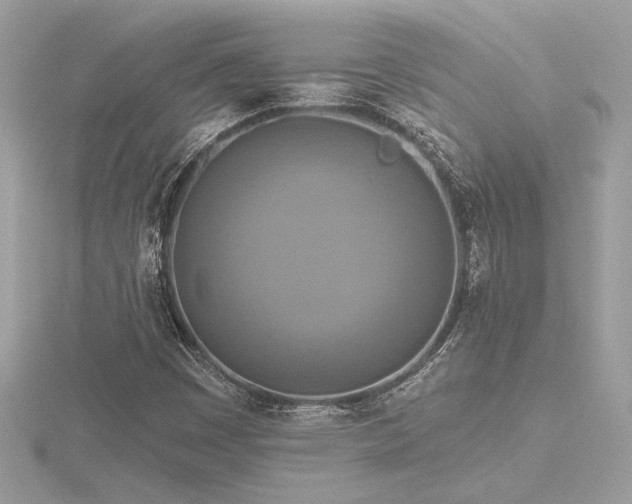 X0000116571449200912101500