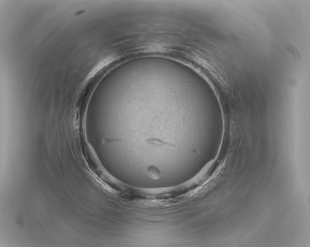 X0000116571450200912101500