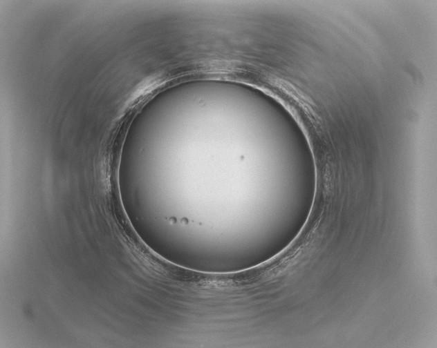 X0000116571451200912101500