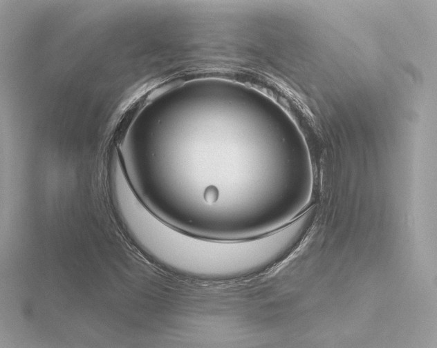 X0000116571453200912101500