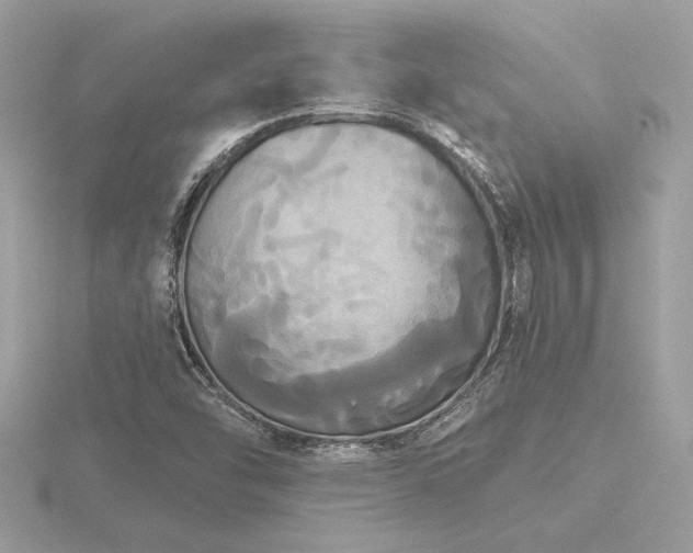 X0000116571454200912101500