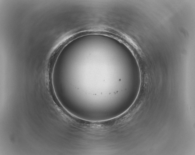 X0000116571456200912101500