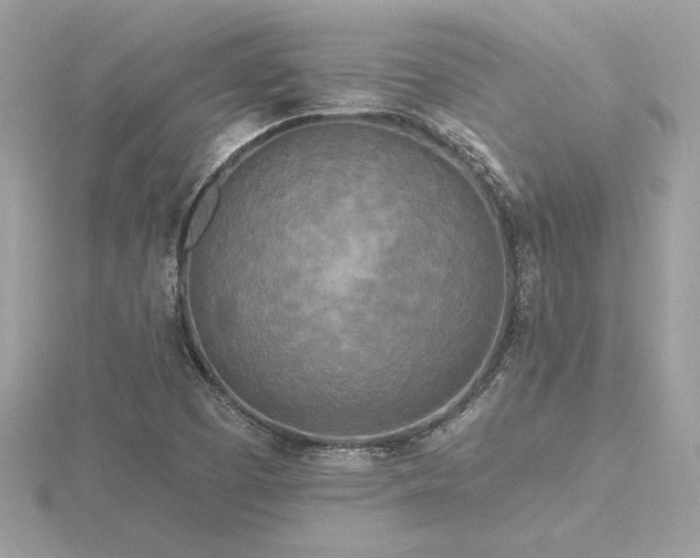 X0000116571457200912101500