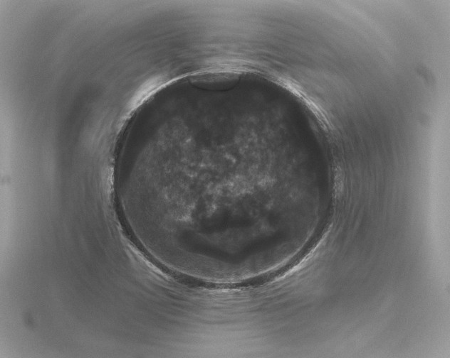 X0000116571459200912101500