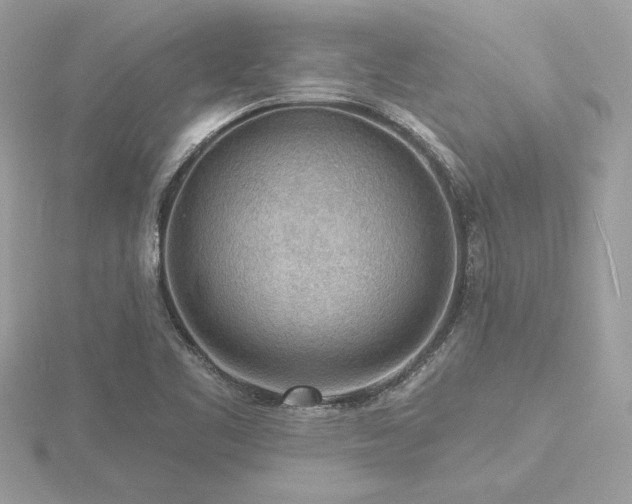 X0000116571461200912101500